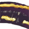a_9