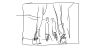 gallery testtesttesttest