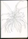 /assets/images/sketchbook/NATURE/1.jpg