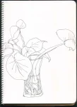 /assets/images/sketchbook/NATURE/2.jpg