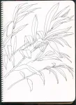 /assets/images/sketchbook/NATURE/7.jpg