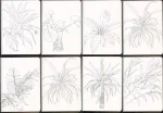 /assets/images/sketchbook/NATURE/8.jpg